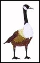 Canada Goose