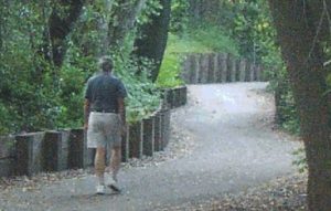 Psychological aspects of the hero's journey